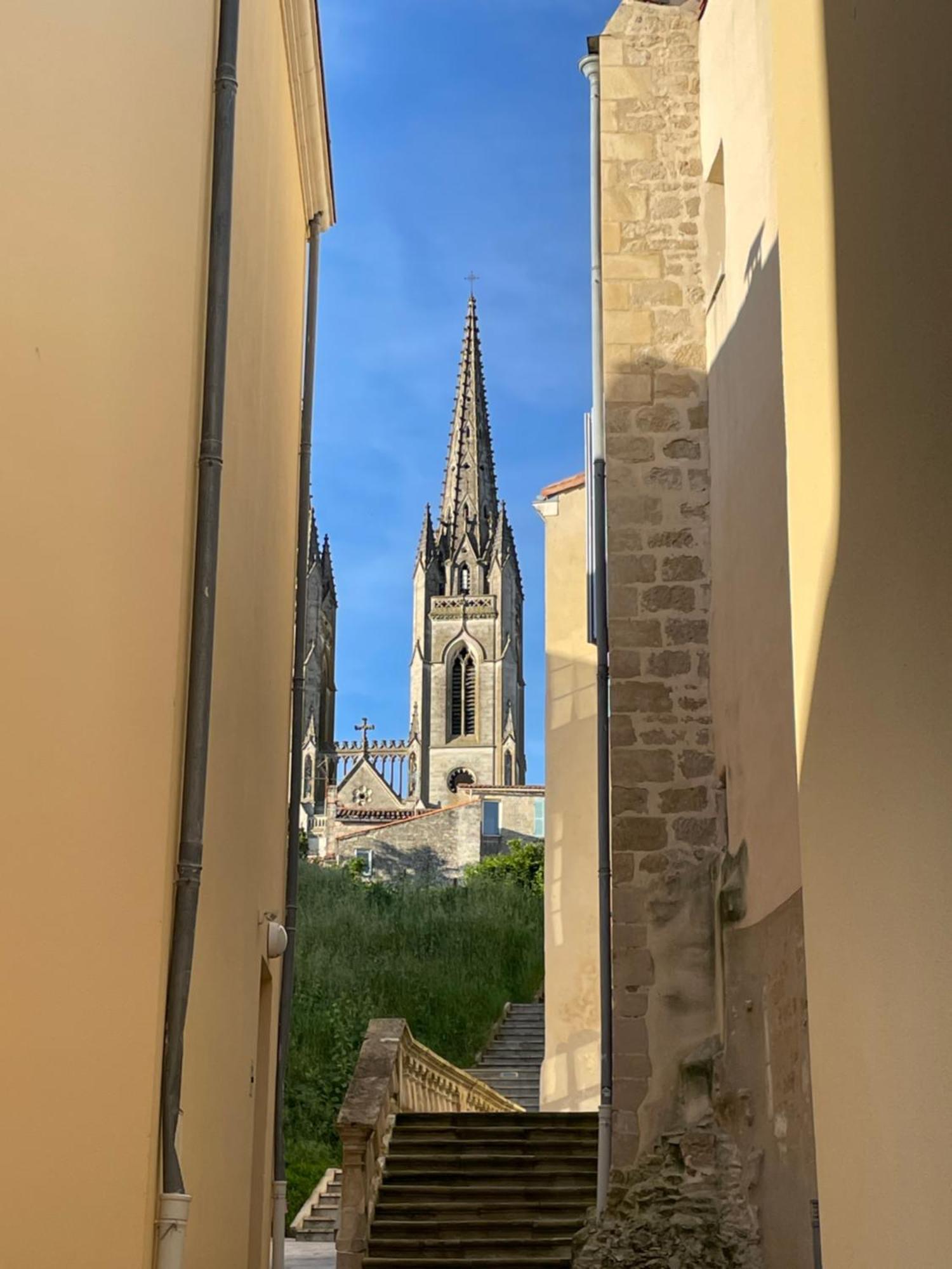 Apartment Chez Jean-yves Et Zoe - Le Carpe Diem - Au Calme, Tres Propre, Proche Parkings Niort